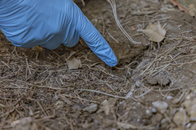 Berner Pest Solutions technician pointing out signs of pest activity in a mulch bed during a home inspection in the Lexington KY service area