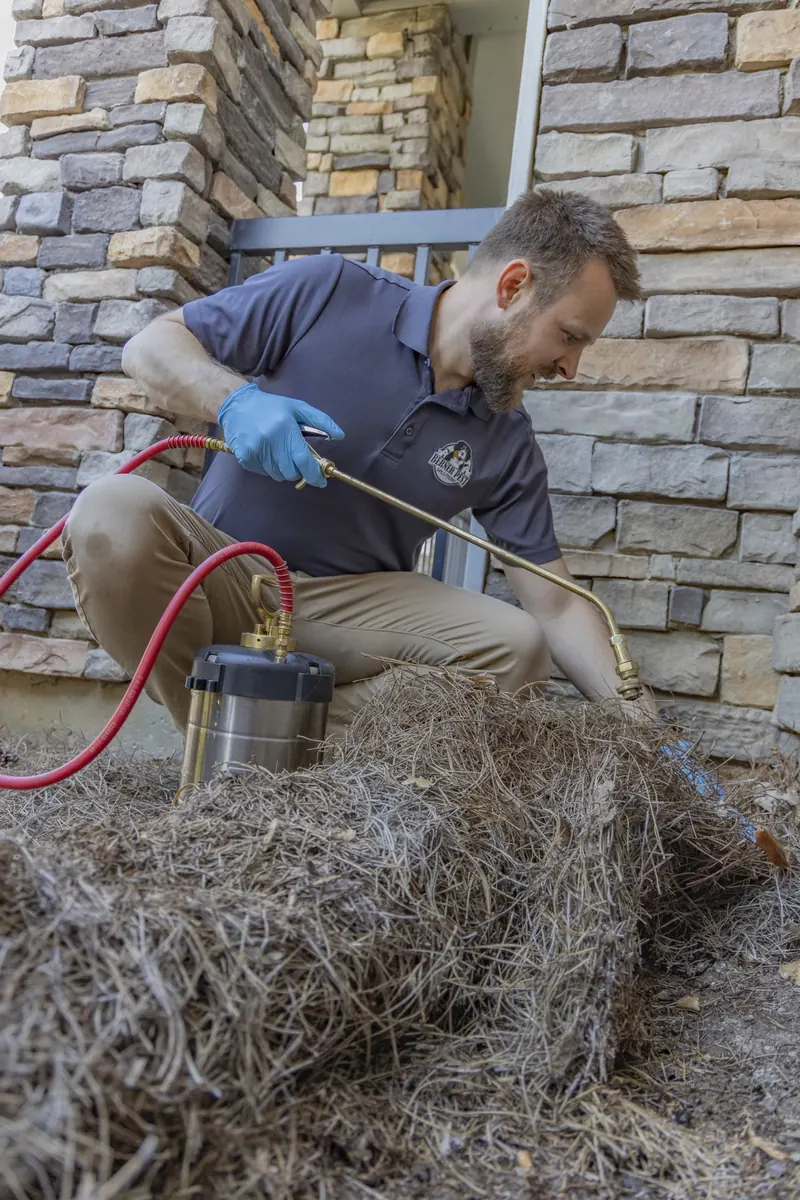 Exterminator Lexington KY: Trusted Local Pest Control Experts
