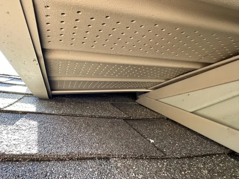 Attic insulation showing signs of mouse activity