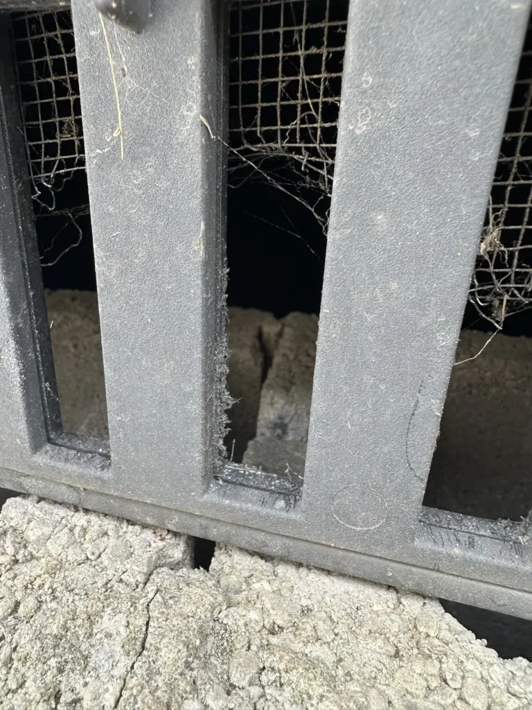 Vent screen chewed open by mice
