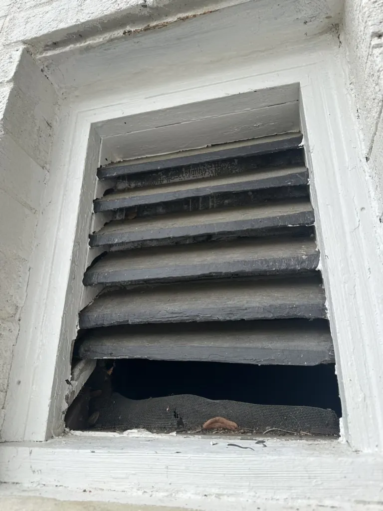 Louvered gable vent that can let mice into an attic