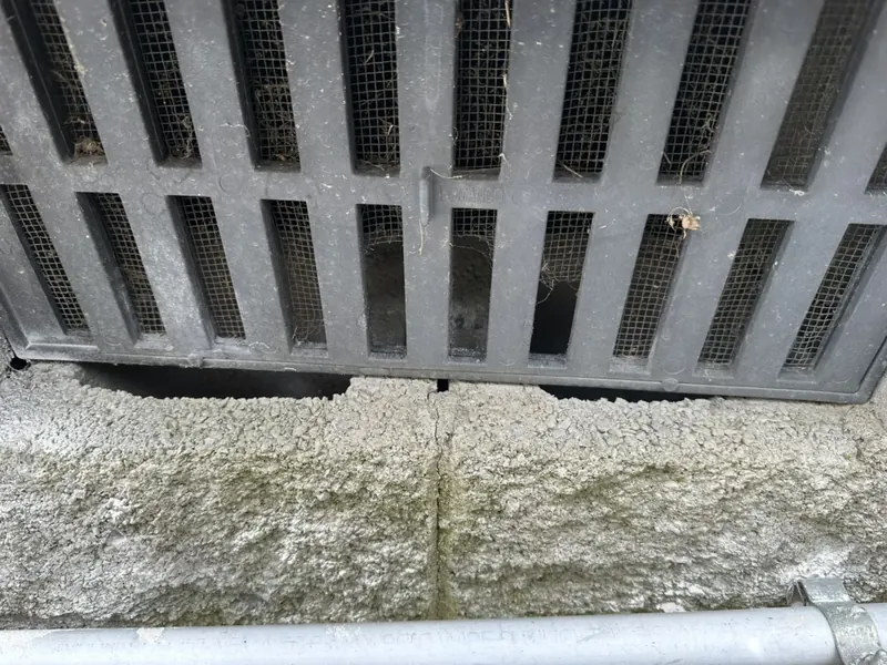 Unscreened exterior vent that gives mice a way into the home