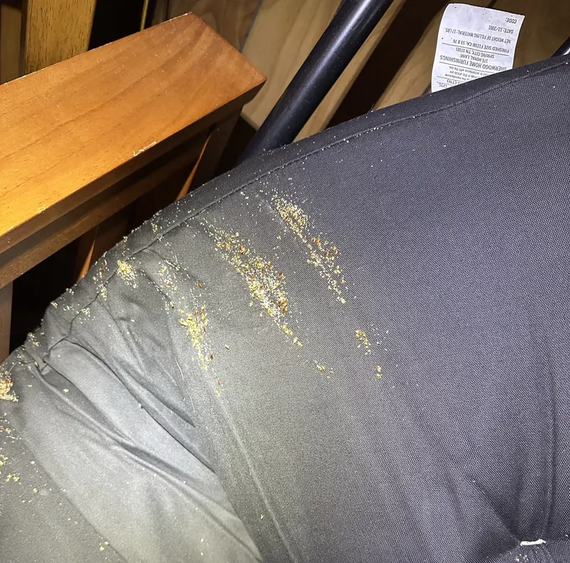 Bed Bugs in Lexington, KY are a common pest that Berner Pest Solutions specializes in removal of.