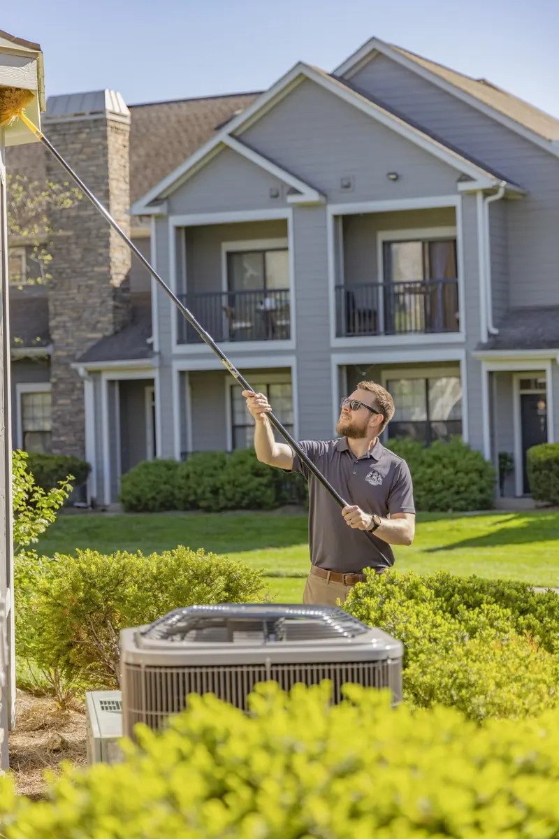 Berner Pest Solutions specializes in spider control in Lexington, KY