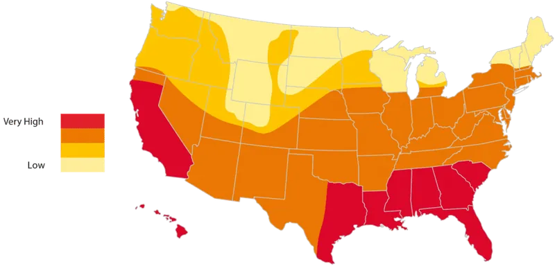 Kentucky is at high risk for termites and Berner Pest Solutions provides termite control and termite prevention