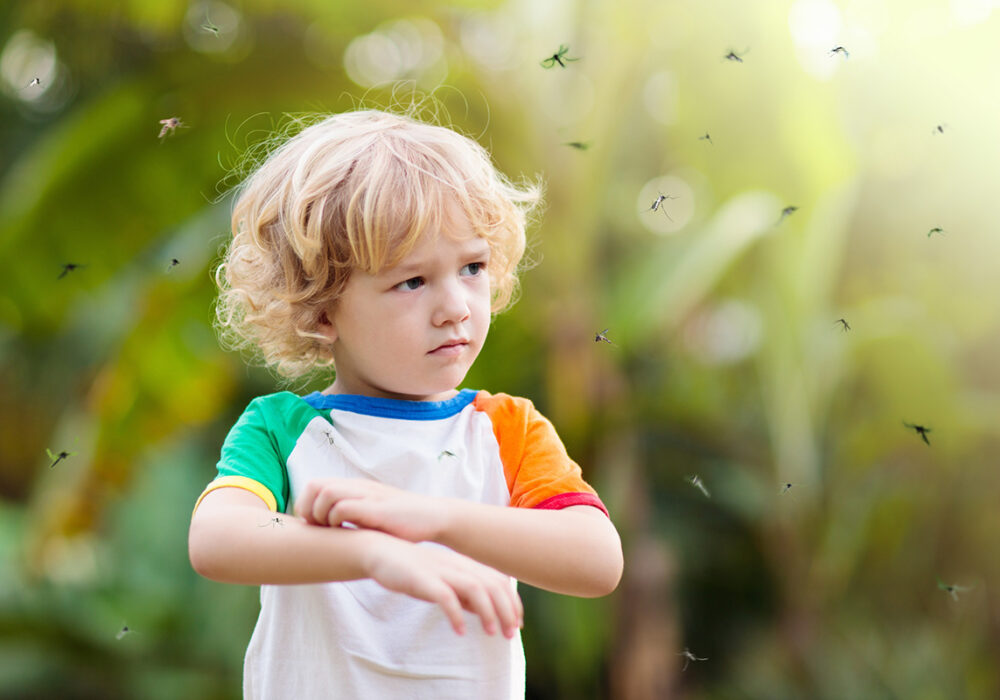 Protect your family and pets from dangerous mosquitoes with Berner Pest Solutions mosquito control service
