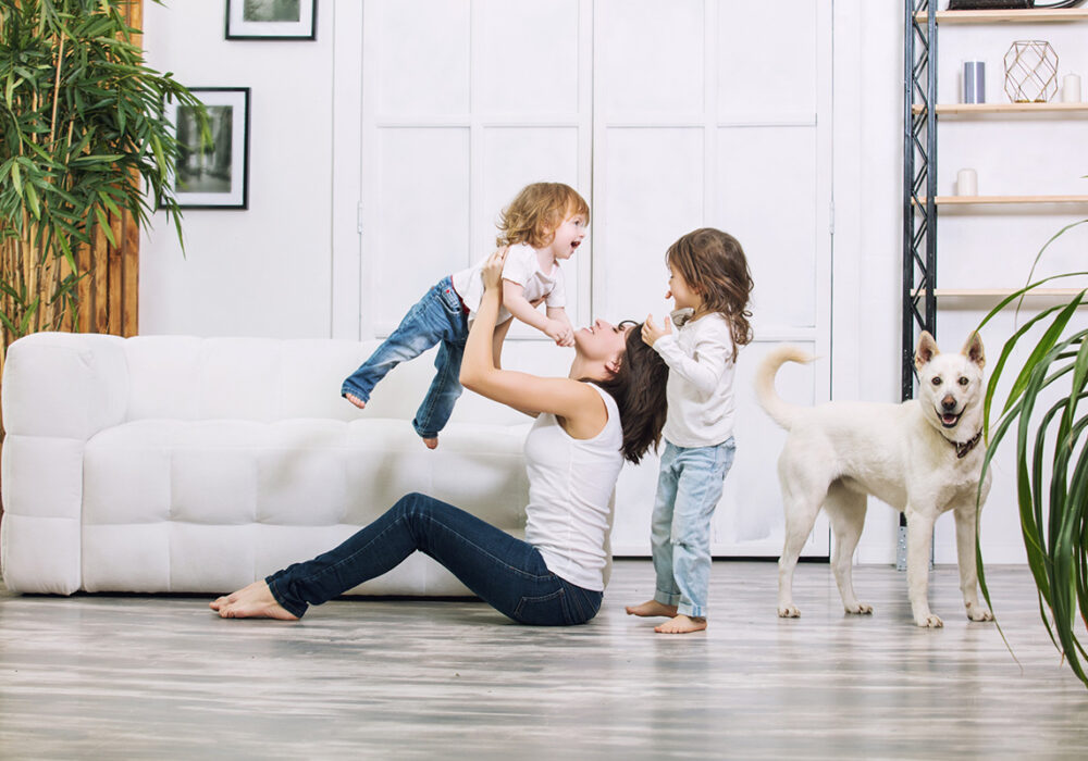 Berner Pest Solutions provides control of fleas and ticks to keep your pets free of pests