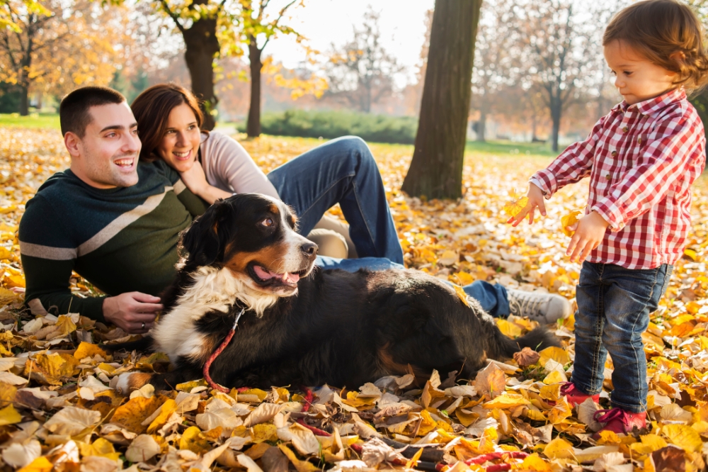Happy pest-free family in Lexington, KY with pet bernese mountain dog